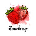 Illustration of Strawberry. Vector watercolor splash background. Graphics berry for cocktails, fresh juice design Royalty Free Stock Photo