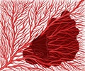 Illustration of stroke branching of the vascular capillary network