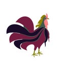 illustration of strong rooster standing vector