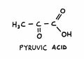 Pyruvic Acid structural formula Royalty Free Stock Photo