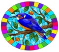 Stained glass illustration with a beautiful bright blue bird on a background of branch of tree with berryes and sky, oval imag
