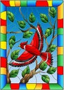 Stained glass illustration with a beautiful red bird on a background of branch of tree and sky in bright frame