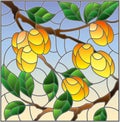 Stained glass illustration with the branches of apricot  tree , the  branches, leaves and fruits against the sky Royalty Free Stock Photo