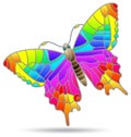 Stained glass illustration with a bright butterfly, an animal isolated on a white background Royalty Free Stock Photo