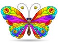 Stained glass illustration with a bright rainbow butterfly, an animal isolated on a white background Royalty Free Stock Photo