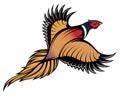 Illustration of a stylish multi-colored flying pheasant