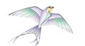 Illustration of a stylized bird in flight. The bird features a pastel color scheme with Royalty Free Stock Photo