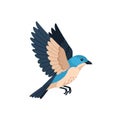 Illustration of a stylized bird mid-flight Royalty Free Stock Photo