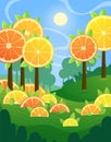 Stylized sunny landscape with citrus trees. Vector illustration of orange and lemon trees garden.