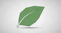 Illustration of a stylized green leaf with defined edges and a prominent midrib Royalty Free Stock Photo