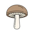 Mushroom appears on a plain white background, emphasizing its Royalty Free Stock Photo