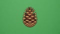 Illustration of a stylized pine cone with geometric shapes featuring a Royalty Free Stock Photo