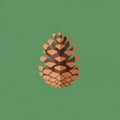 Illustration of a stylized pine cone set against a solid green background Royalty Free Stock Photo