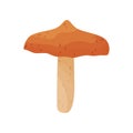 Flat vector icon of boletus. Edible mushroom with brown cap. Natural product. Forest plant