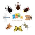 Summer insects Royalty Free Stock Photo