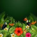 Summer sale banner with tropical flowers and leaves. Toucan and Exotic Leaves on Nature Green Background Royalty Free Stock Photo