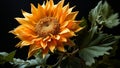 Illustration of a sunflower closeup. AI Generated