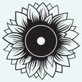 Illustration sunflower