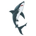 Illustration of a swimming shark. Royalty Free Stock Photo