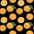 Mandarins Citrus Watercolor Seamless Pattern Fruits Digital Paper Food Illustration Botanical Tropical Fruits