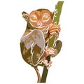 Illustration: Tarsier Images Beautiful, very beabeautiful pictures.