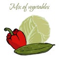 Illustration of Tasty Veggies. Royalty Free Stock Photo