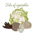 Illustration of Tasty Veggies. Royalty Free Stock Photo