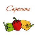 Illustration of Tasty Veggies. Vector Capsicums