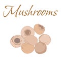 Illustration of Tasty Veggies. Vector Mushrooms Royalty Free Stock Photo