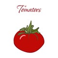 Illustration of Tasty Veggies. Vector Tomatoes