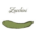Illustration of Tasty Veggies. Vector Zucchini