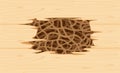 Illustration termite nest at wooden wall, burrow nest termite and wood decay, texture wood with nest termite or white ant Royalty Free Stock Photo