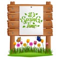 Text it`s spring time on paper stuck to a wooden board with grass and flowers .