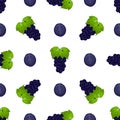Illustration on theme big colored seamless grape