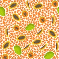 Illustration on theme big colored seamless papaya
