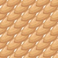 Illustration on theme big pattern identical types almond