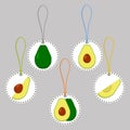 Illustration on theme big set different types round avocado