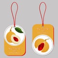 Illustration on theme big set different types spice nutmeg