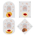 Illustration on theme big set different types spice nutmeg