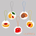 Illustration on theme big set different types spice nutmeg