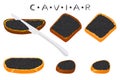 Illustration on theme big set various types fish caviar