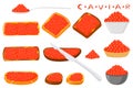 Illustration on theme big set various types fish caviar