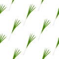 Illustration on theme of bright pattern green onion Royalty Free Stock Photo