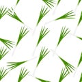 Illustration on theme of bright pattern green onion Royalty Free Stock Photo