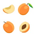 Illustration on the theme of fruit apricot, label market