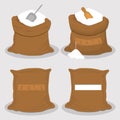 Illustration on theme set different types sacks filled powder salt