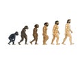 Illustration of the theory of evolution, the theory of Darwin, the white background