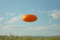 There is an orange freese flying in the air, high quality, high resolution Royalty Free Stock Photo