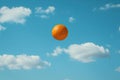 There is an orange freese flying in the air, high quality, high resolution Royalty Free Stock Photo