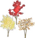 Illustration with three bright fall trees isolated on white